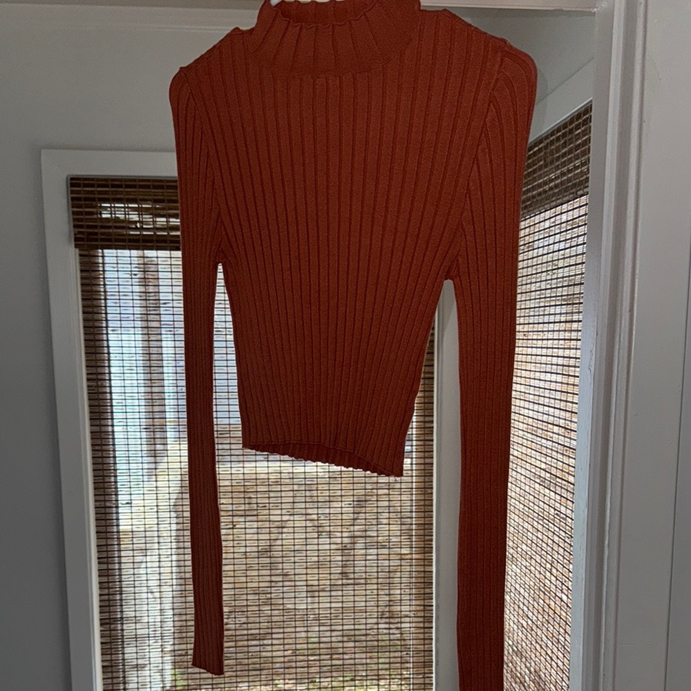 Rust Ribbed Turtleneck Sweater